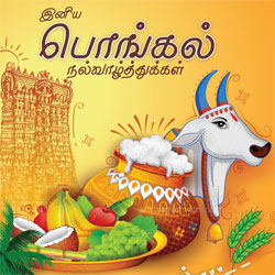 Mattu Pongal